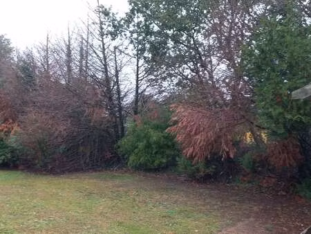 vente terrain à la chevallerais (44810) : à vendre / la chevallerais