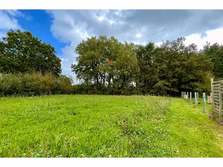 vente terrain à pont-saint-martin (44860) : à vendre / pont-saint-martin