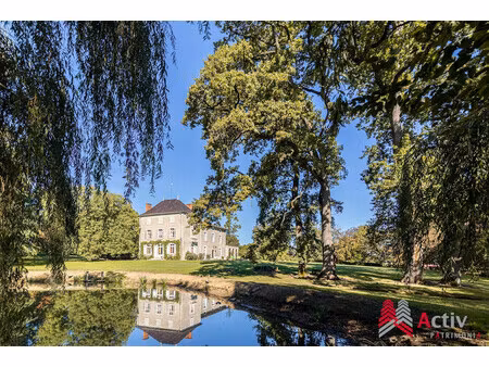 vente château 10 pièces