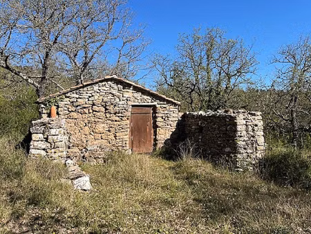 cabanon 1 pièce 11 m² sur 7413 m² agricole