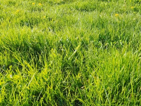 en vente terrain constructible 8 6 ares – 289 800 € |groix