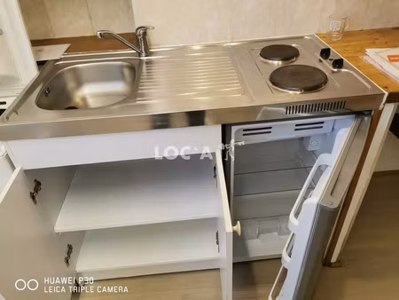 location appartement 1 pièce 20 m² à lyon 7 (69007)