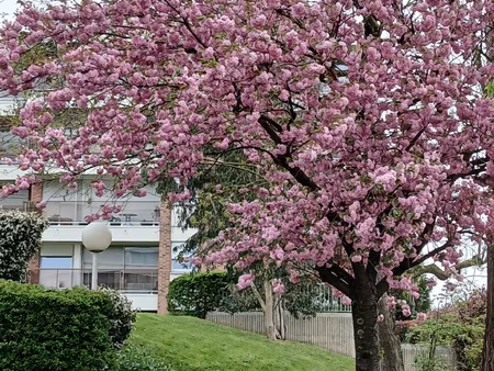 contactez-moi au plus vite. belle opportunité   belle rénov