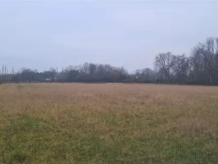 terrain à vendre à schriek € 115.000 (lnjpk) - nieuww bv | zimmo