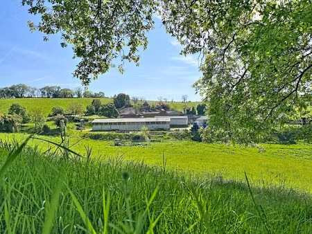 à vendre exploitation agricole laitière secteur figeac (lot)