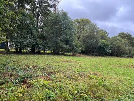 vente terrain à treffrin (22340) : à vendre / 1155m² treffrin