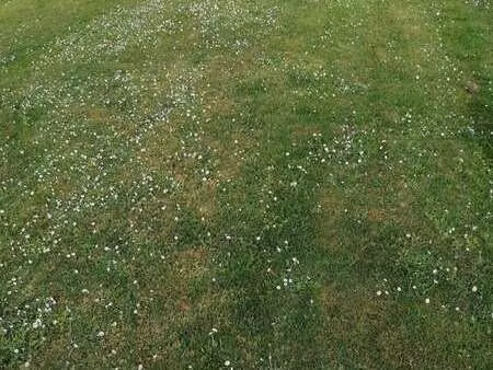 vente terrain à riantec (56670) : à vendre / riantec