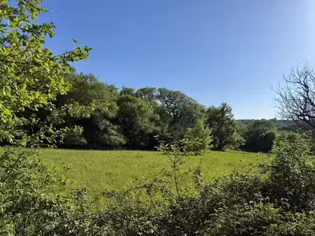 vente terrain 5500 m² à cressensac-sarrazac (46600)  66 000 €