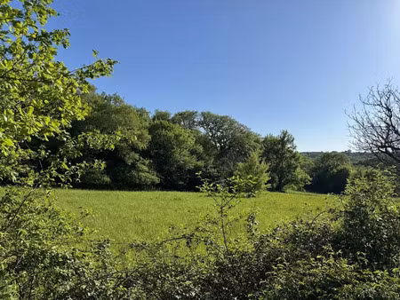 vente terrain à cressensac-sarrazac (46600)  66 000 €