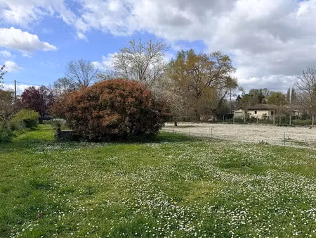 vente terrain 2600 m² à saint-laurent-d'arce (33240)  76 000 €