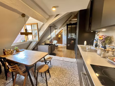 annecy appartement 2/3 pieces