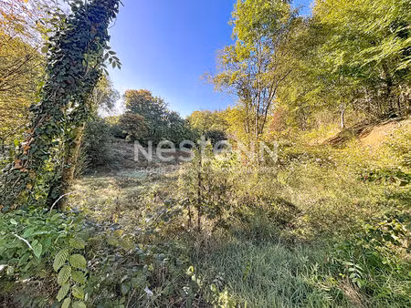 parcelles naturelles et forestières attenantes à naves - 25962 m2