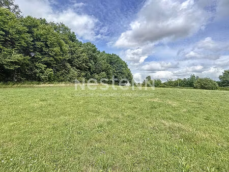 terrain à bâtir plat de 2924 m² - sadroc (19270) parcelle totale de 9226 m²