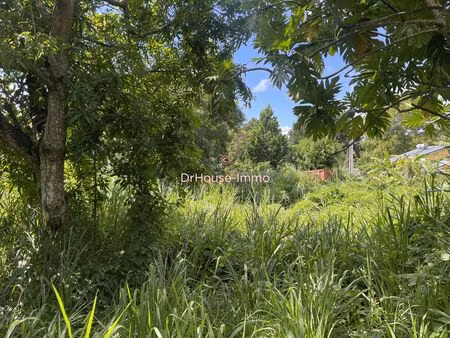 terrain plat et arboré à la campagne 800 m2 .