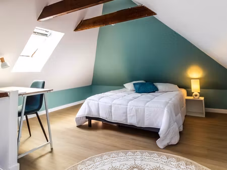 charmante chambre en colocation disponible dès maintenant !