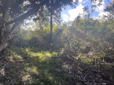vente terrain 845 m² à le tampon (97430)  162 000 €