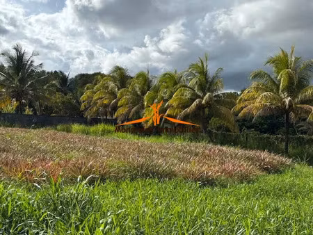 vente terrain à batir à petit bourg (97170)  169 900 €