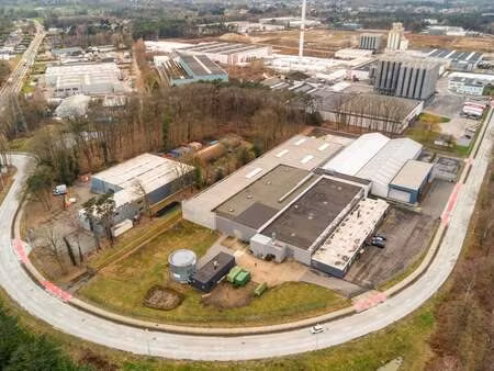 bien professionnel à vendre à tessenderlo € 6.500.000 (lnkc8) | zimmo