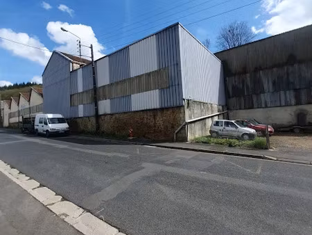 vente locaux professionnels 1200 m² à nouzonville (08700)  49 500 €