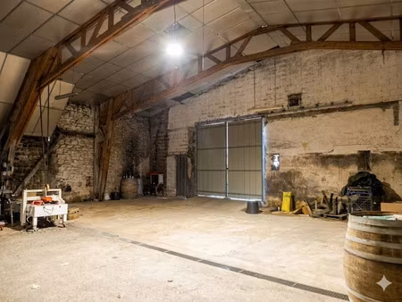 vente locaux professionnels 400 m² à saint-lambert-du-lattay (49750)  91 200 €