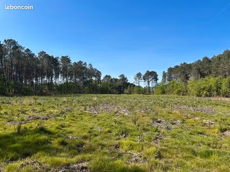 vente terrain salles