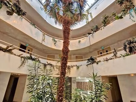 studio 1 pièce 19 m²