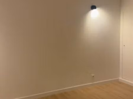 studio une pièce rénové