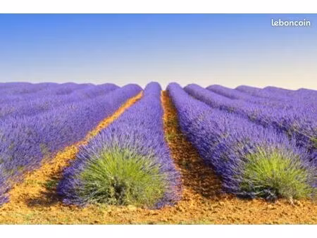 fonctionnaire recherche location