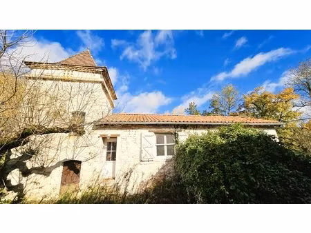 maison et moulin  piscine sur grand terrain