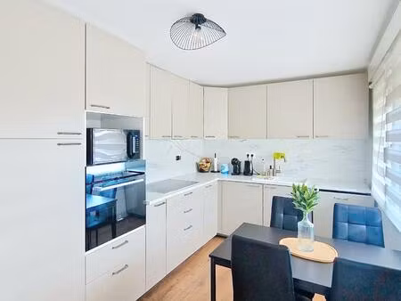 maison individuelle spacieuse avec 3 garages  terrasse et jardin aux portes des frontières