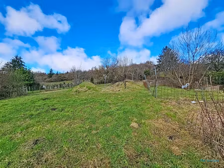 terrain constructible de 1371 m2 dont environs 500m2 constructib