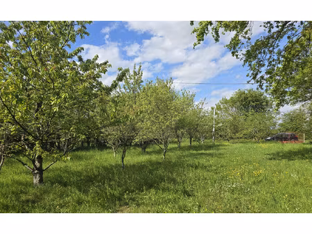 précigné terrain de loisirs / verger de plus de 1 800 m2
