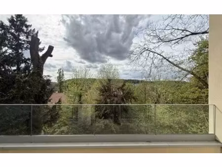 saint-rémy-lès-chevreuse (78470)