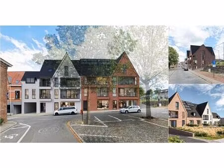 duplex à vendre à emile eylenboschstraat 18 schepdaal (rbv76187)