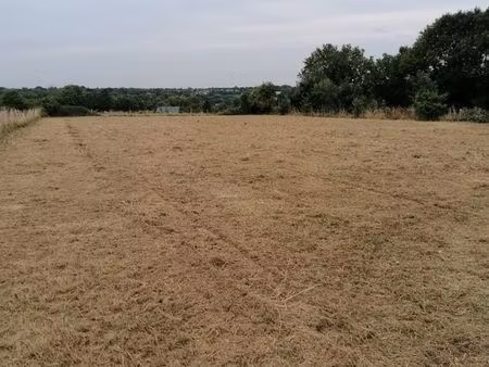 terrain constructible