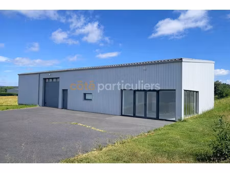 location locaux professionnels 272 m² à saint-paulien (43350)  1 380 €