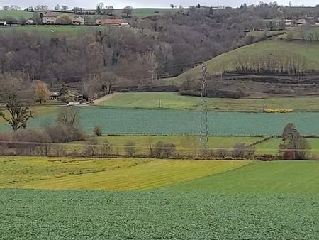 terrain agricole pour animaux  jardin  loisir  détente...