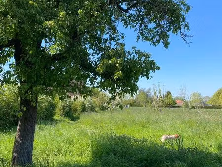 à louer pâture / prairie pour chevaux ou poneys