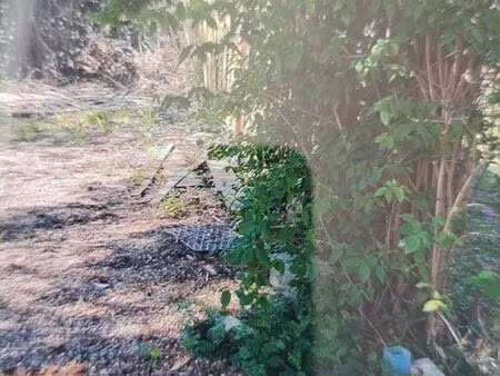 terrain agricole ammershwhir