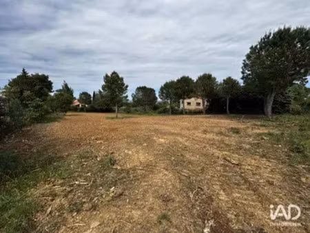 terrain à montesquieu-des-albères (66740)