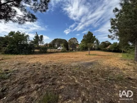 terrain à montesquieu-des-albères (66740)
