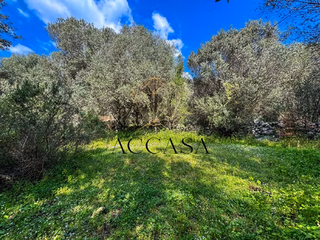 terrain avec permis de construire accordé à ogliastrello  fi