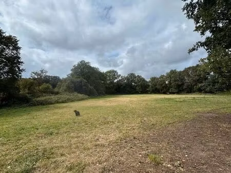 a louer 4 hectares de terrain