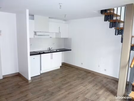 t1bis duplex ile de nantes mangin