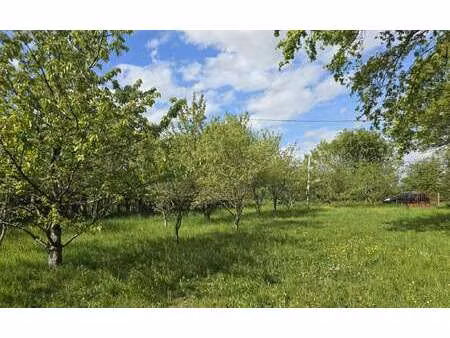 vente terrain à précigné (72300) : à vendre / précigné