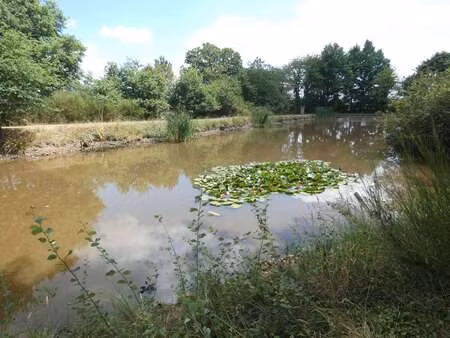 vente terrain à nuillé-le-jalais (72370) : à vendre / nuillé-le-jalais