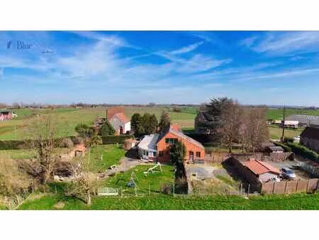 maison 4 façades sur grand terrain verdoyant