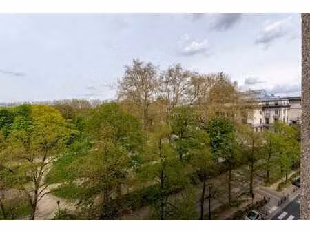 vue magnifique sur le parc du cinquantenaire