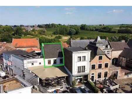 duplex/triplex