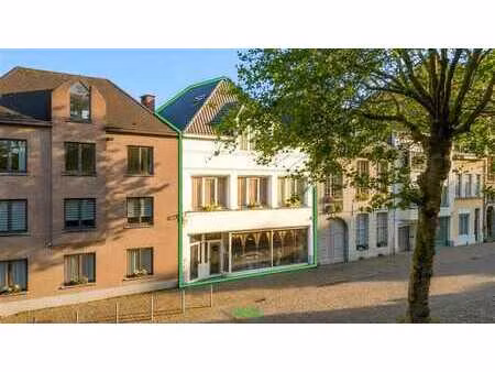 bien de rapport comprenant surface commercial et 4 logements